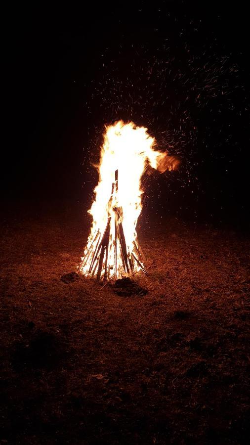 Pensiunea Din Livada Bran  Exteriör bild