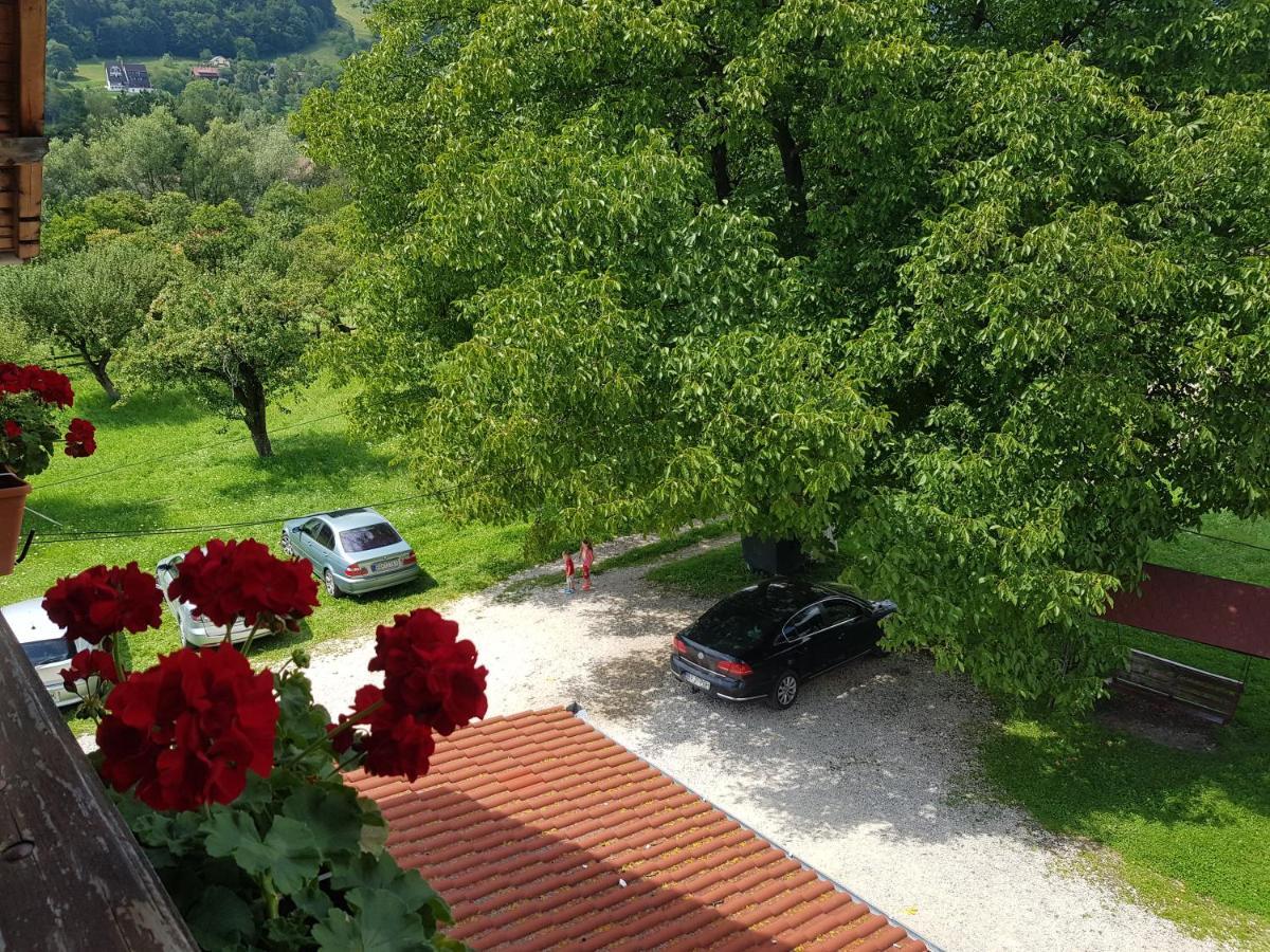 Pensiunea Din Livada Bran  Exteriör bild