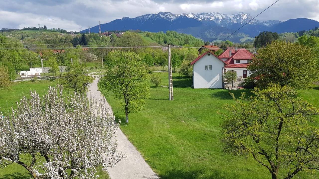 Pensiunea Din Livada Bran  Exteriör bild
