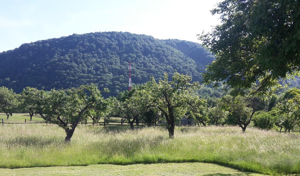Pensiunea Din Livada Bran  Exteriör bild